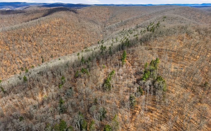 Pictures of Land property located at 00 Dodge Hollow Road, Emporium, PA 15834 for sales - image #1