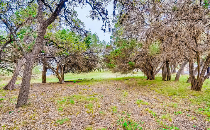Pictures of Land property located at 6703 BAR K RANCH RD, LAGO VISTA, TX 78645 for sales - image #1