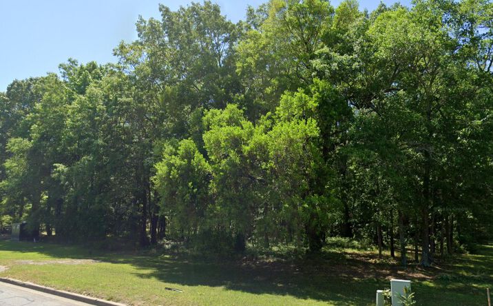 Pictures of Land property located at 1176 N U.S. Highway 52, Moncks Corner, SC 29461 for sales - image #1