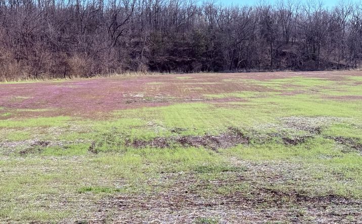 Pictures of Land property located at 136 and West 120th Avenue, New Hampton, MO 64471 for sales - image #1