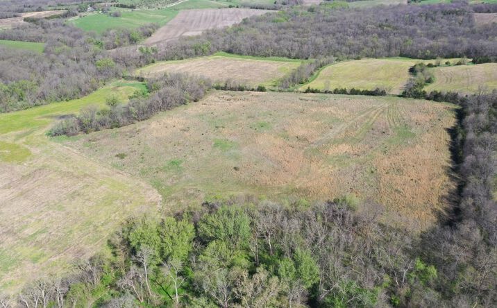 Pictures of Land property located at Hwy M & W 215th Lane Eagleville, MO, Eagleville, MO 64442 for sales - image #1