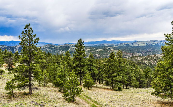 Pictures of Land property located at TBD Ridge Crest Lane, Cascade, MT 59421 for sales - image #1