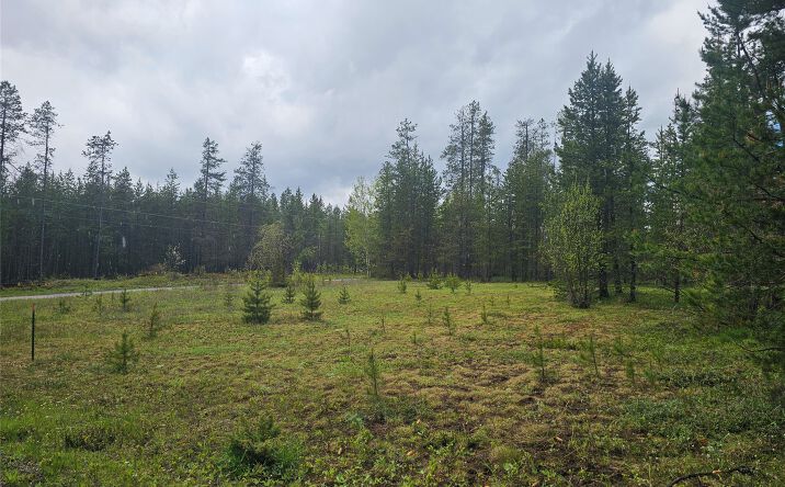 Pictures of Land property located at 107 Elk Street, Coram, MT 59913 for sales - image #1