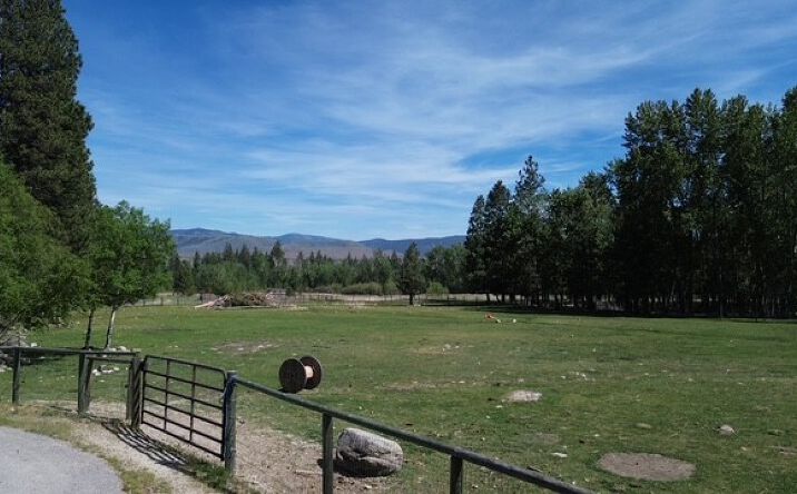 Pictures of Land property located at 990 Timber Point Lane, Hamilton, MT 59840 for sales - image #1