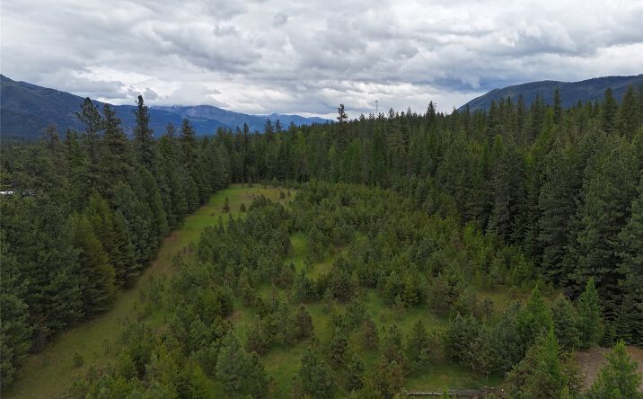 Pictures of Land property located at Nhn Old Cottonwood Lane, Trout Creek, MT 59874 for sales - image #1