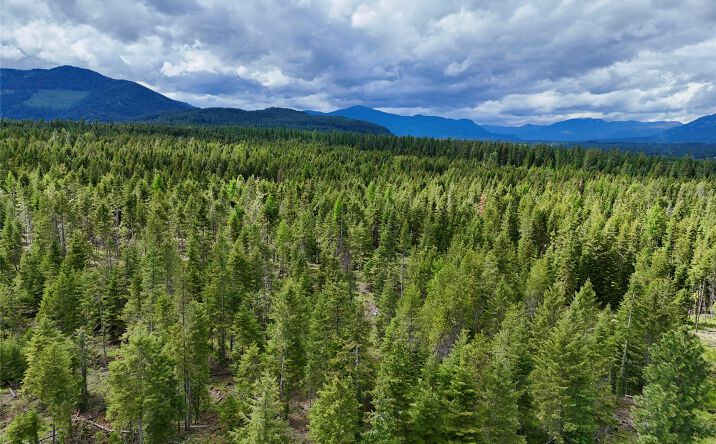 Nhn S Squire Lane, Trout Creek