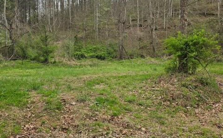 Pictures of Land property located at 38 Stumbo Rd, Isonville, KY 41149 for sales - image #1