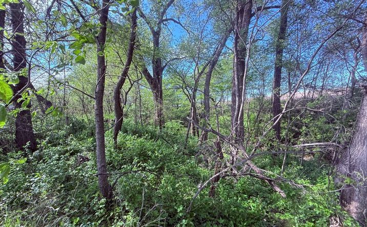 0 Impala Trail Barnard, MO, Barnard