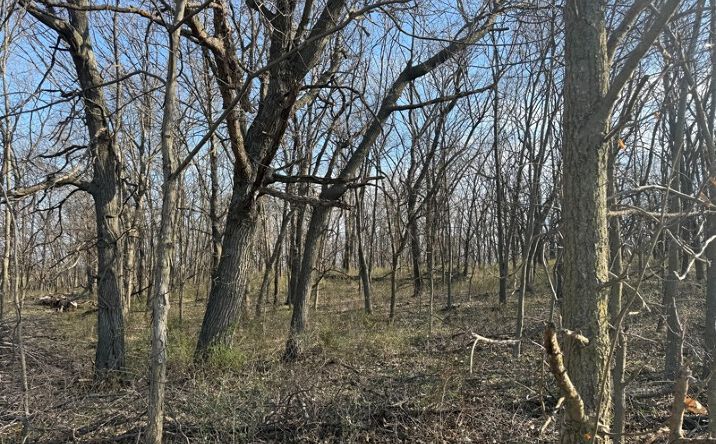 Pictures of Land property located at 0 E 252nd Avenue, Eagleville, MO 64442 for sales - image #1