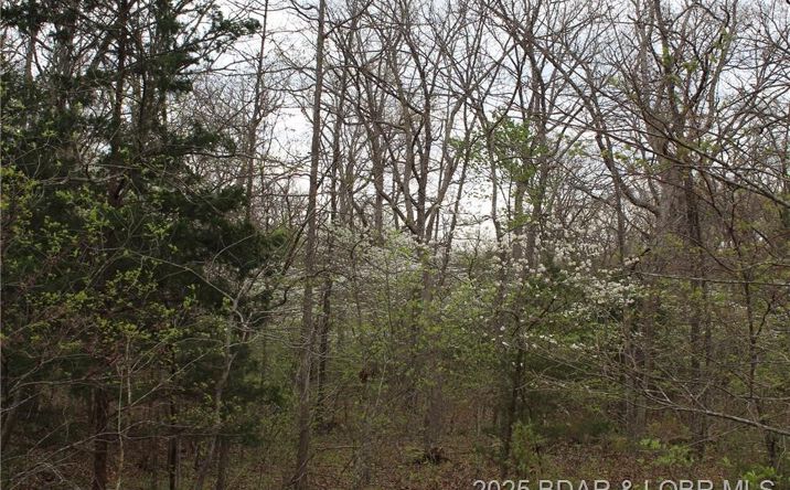 15516 Highway P, Gravois Mills