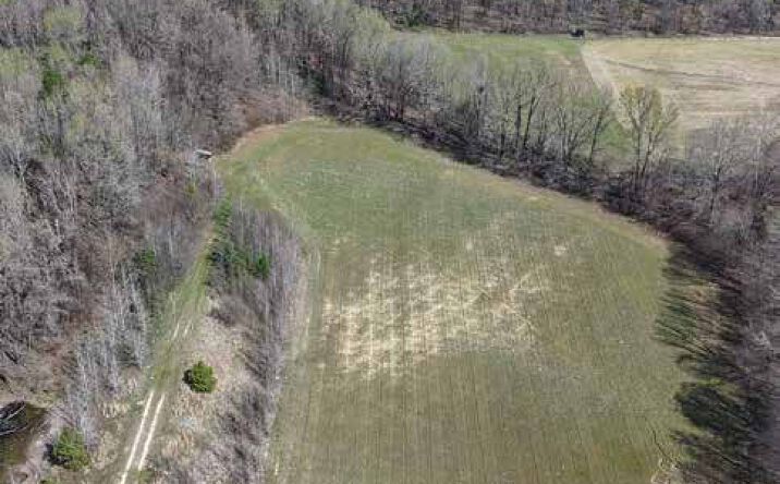 Pictures of Land property located at Ridge 38, Wynne, AR 72432 for sales - image #1