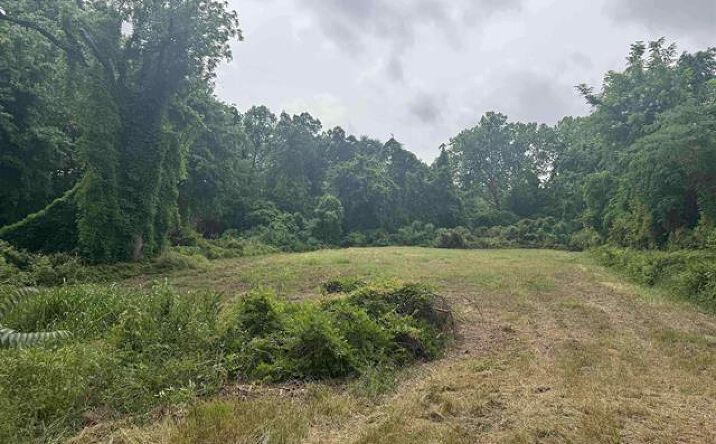 Pictures of Land property located at 510 W Martin Luther King Jr Boulevard, Tyler, TX 75702 for sales - image #1