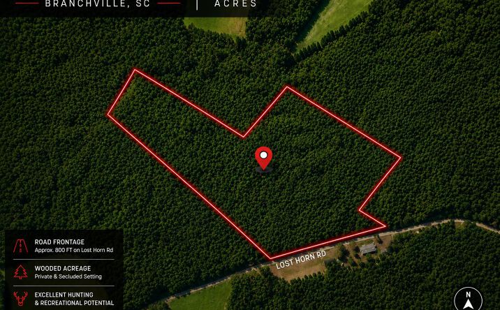 Pictures of Land, Multifamily property located at 1 Lost Horn Road, Branchville, SC 29432 for sales - image #1