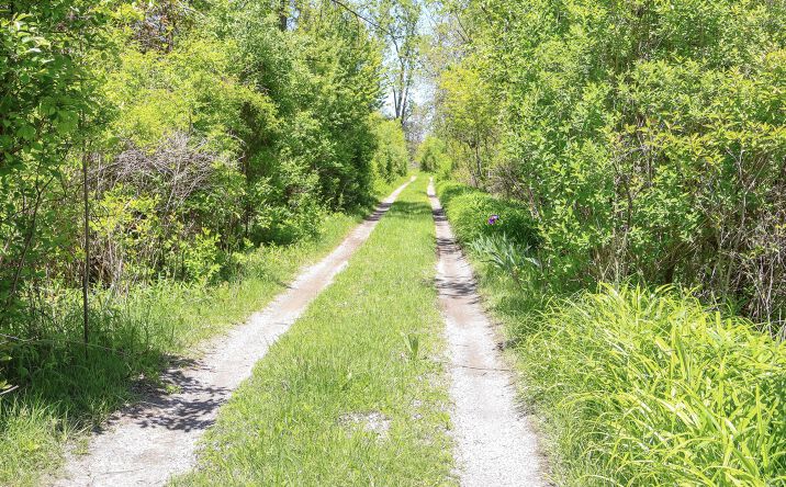 Pictures of Business for Sale, Retail, Office, Industrial property located at 7133 US Highway 12, Three Oaks, MI 49128 for sales - image #1