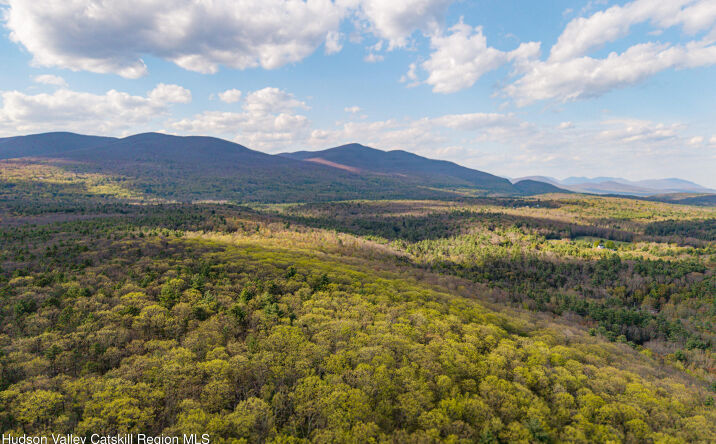 Pictures of Land, Multifamily property located at Tbd Ryan Rd., Kerhonkson, NY 12446 for sales - image #1
