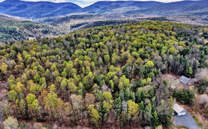 Pictures of Land, Multifamily property located at 354 Terrace Drive, Prattsville, NY 12468 for sales - image #1