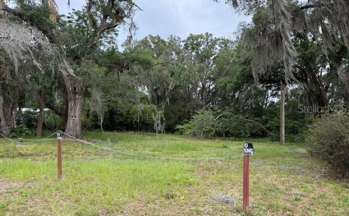 Pictures of Land, Mixed Use property located at 412 York St, Wildwood, FL 34785 for sales - image #1