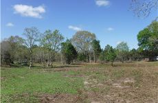 32686560