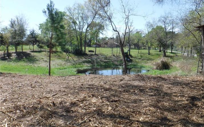 Pictures of Land property located at 1350 Peters San Felipe Rd, Sealy, TX 77474 for sales - image #1
