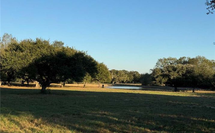 Pictures of Land property located at TBD Rubin Lee Rd, Cat Spring, TX 78933 for sales - image #1