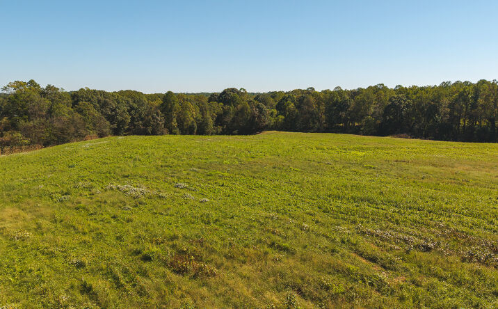 Pictures of Land property located at TBD US 21 Highway, Hamptonville, NC 27020 for sales - image #1