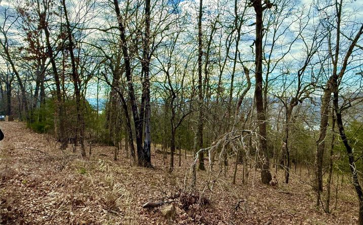 Pictures of Land property located at Sugar Mountain Circle, Cookson, OK 74451 for sales - image #1