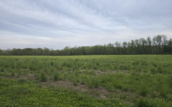 Pictures of Land property located at 4081 N 350 E, Rolling Prairie, IN 46371 for sales - image #1
