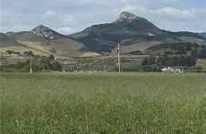 32710385