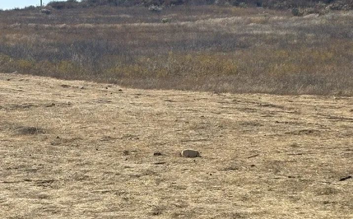 Pictures of Land property located at 17 Keller, Winchester, CA 92596 for sales - image #1