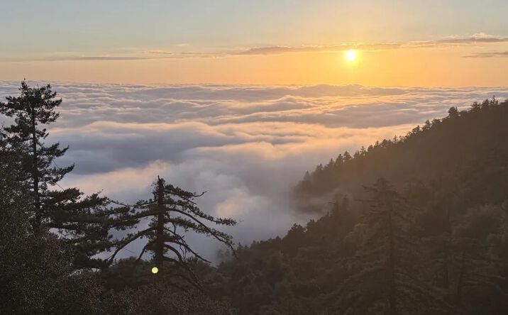 Pictures of Land property located at 32900 South Grade, Palomar Mountain, CA 92060 for sales - image #1