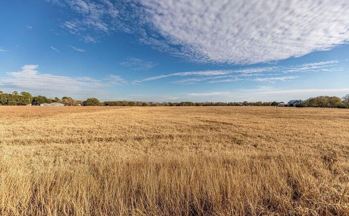 Pictures of Land property located at 0 Miller Road, Bellville, TX 77418 for sales - image #1