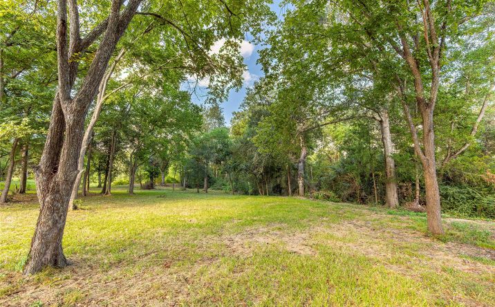 Pictures of Land property located at 143 Wild Phlox Drive, Bellville, TX 77418 for sales - image #1