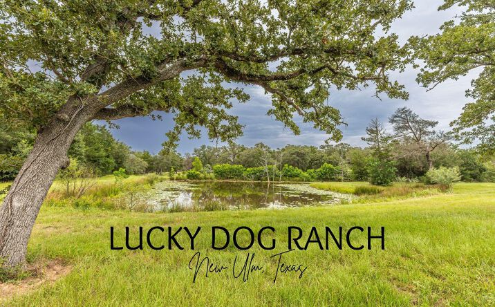 Pictures of Land property located at 1126 Abel Road, New Ulm, TX 78950 for sales - image #1