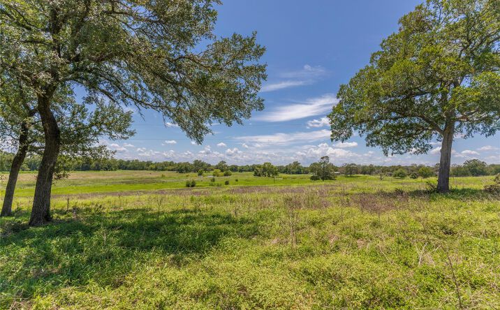 Pictures of Land property located at 8 Mill Creek Ranch Road, New Ulm, TX 78950 for sales - image #1