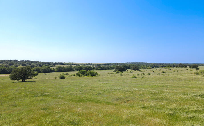 Pictures of Land property located at 547 Fenoglio Road, Montague, TX 76251 for sales - image #1