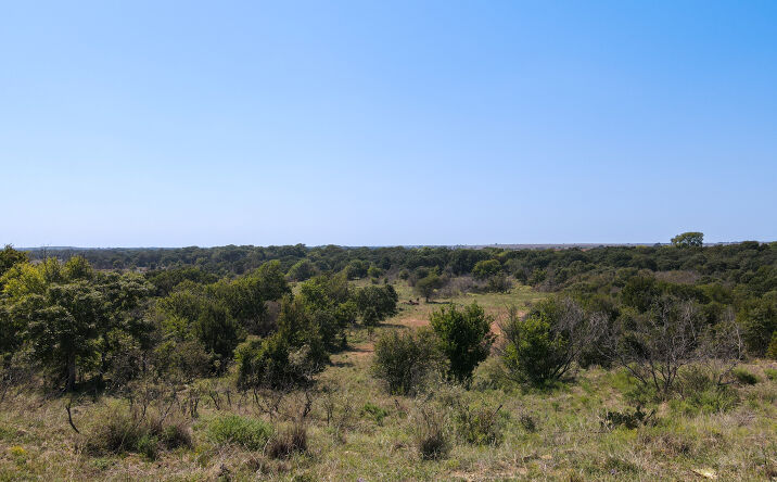 Pictures of Land property located at 1.15± mi east of Milam Rd and Dutton Rd, Ringgold, TX 76261 for sales - image #1