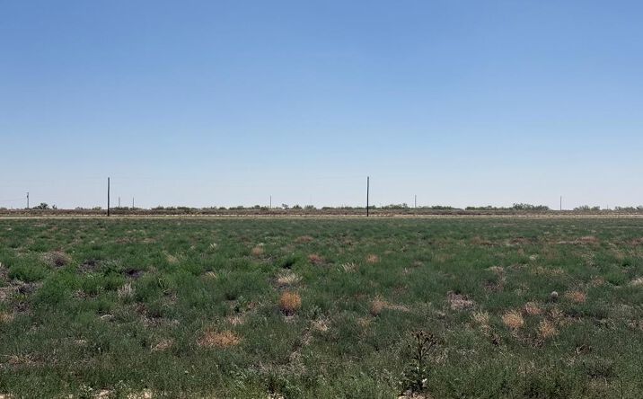 Pictures of Land, Multifamily property located at TBD Private Rd 409J, Seminole, TX 79360 for sales - image #1