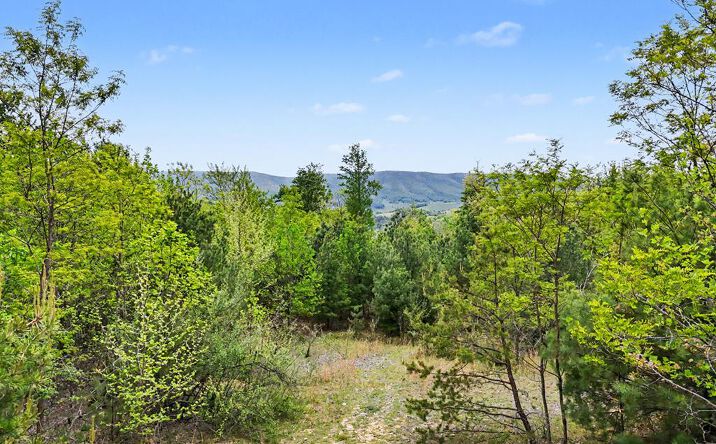 Pictures of Land property located at TBD High Chaparral Lane, Bland, VA 24315 for sales - image #1