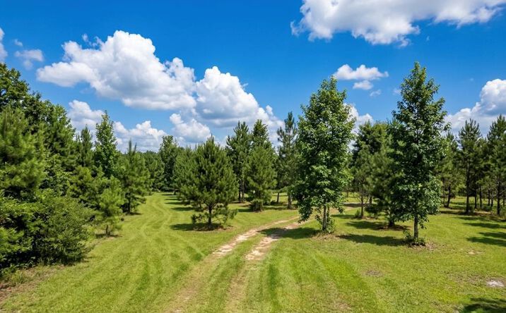 Pictures of Land property located at Beatty Mill Circle, Valdosta, GA 31605 for sales - image #1