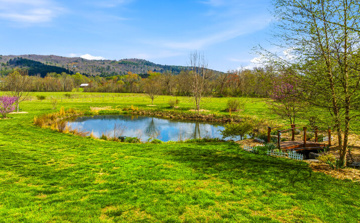 Pictures of Retail, Hospitality, Special Purpose property located at 90 Woody Farm Drive, Pisgah Forest, NC 28768 for sales - image #1