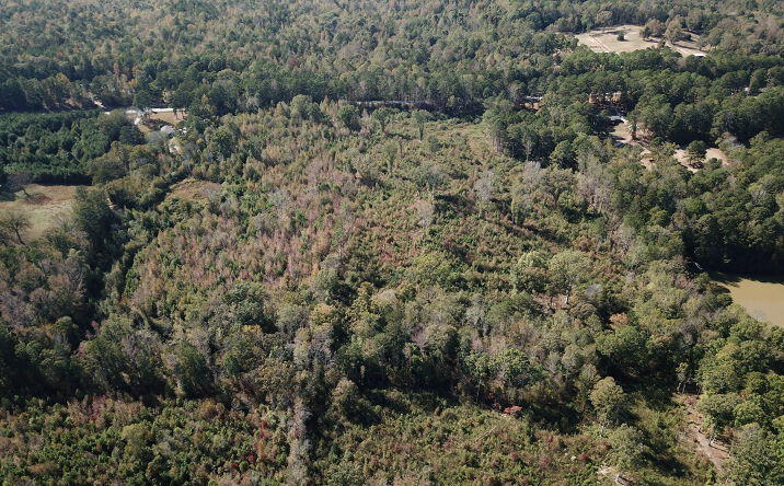 Pictures of Land property located at 0 TEAL RD, SOUTH FULTON, GA 30213 for sales - image #1
