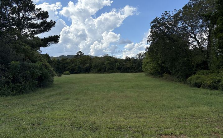 Pictures of Land property located at 0 Old Gurley Rd, Huntsville, AL 35811 for sales - image #1