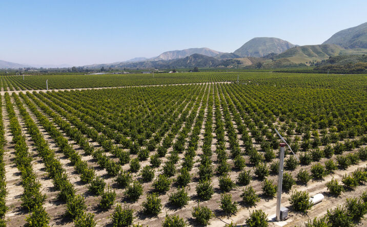 Pictures of Land property located at NEC South Mountain Rd & Petit Ranch Rd, Fillmore, CA 93657 for sales - image #1