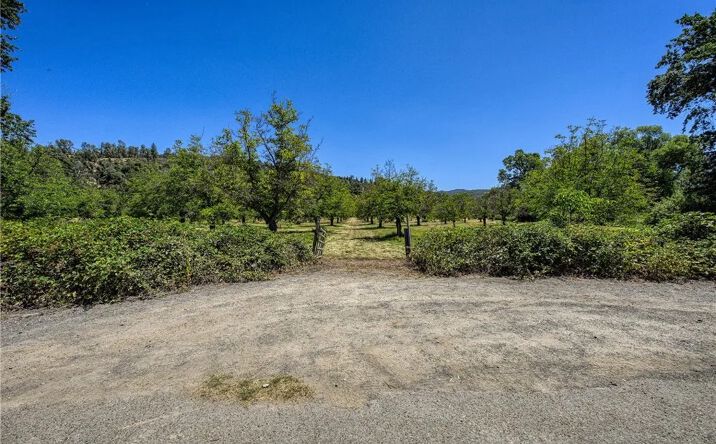 Pictures of Land property located at 1286 Pitney, Upper Lake, CA 95485 for sales - image #1