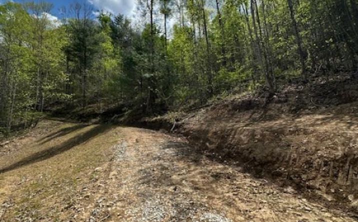 Pictures of Land property located at 9323 KY-7, West Liberty, KY 41472 for sales - image #1