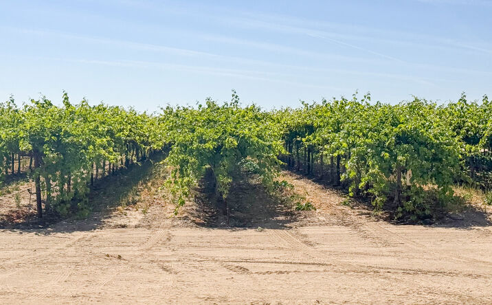 Pictures of Mixed Use, Land property located at Highway 65 & Imperial Street, Bakersfield, CA 93308 for sales - image #1