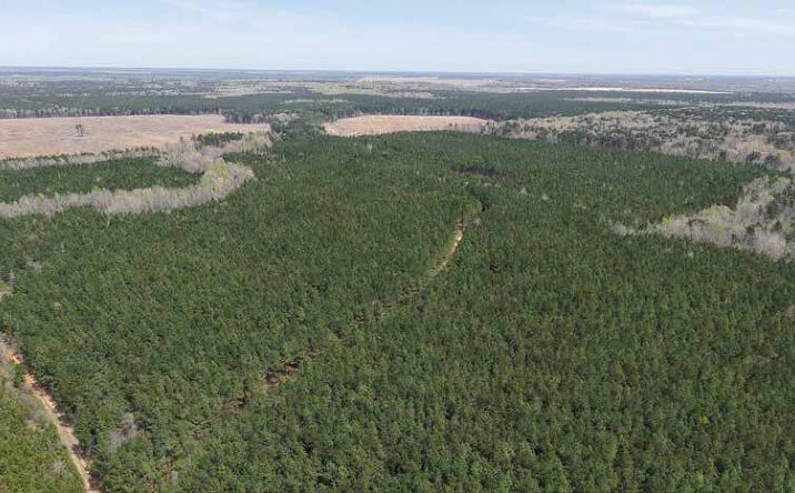 Pictures of Land property located at Star City, Star City, AR 71667 for sales - image #1