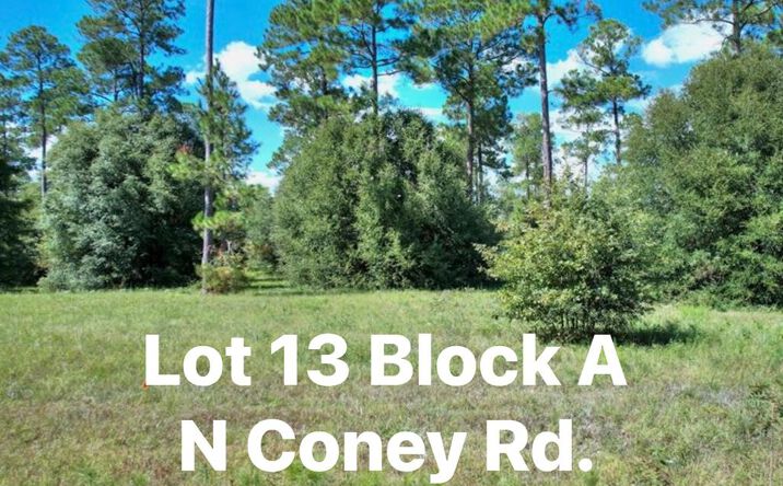 Pictures of Land property located at TBD N Coney Rd. Lot 13, Cordele, GA 31015 for sales - image #1