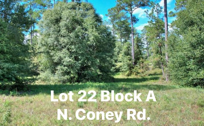 Pictures of Land property located at TBD N Coney Rd. Lot 22, Cordele, GA 31015 for sales - image #1