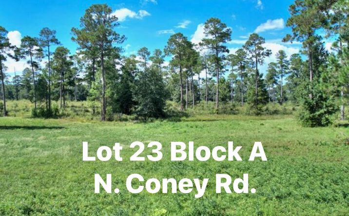 Pictures of Land property located at TBD N Coney Rd. Lot 23, Cordele, GA 31015 for sales - image #1